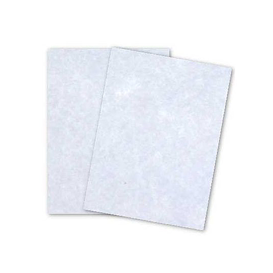 Neenah Paper® Astroparche Blue Parchment 60 lb. Vellum Text 8.5x11 in. 500 Sheets