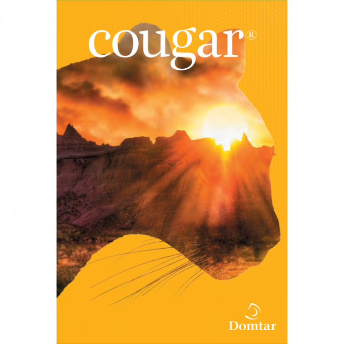Domtar Cougar Opaque Smooth 60 lb. Text 102M 23x35 in. 98 Bright 24000 Sheets per Skid - FSC Certified 10% Post-Consumer Waste