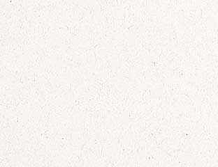 Neenah® ENVIRONMENT Moonrock Smooth 80 lb. 8.5x11 Cover 250/Ream - Sku:06343 | 250 PER REAM