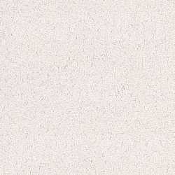 Evergreen® Cottonwood Vellum 80 lb. Uncoated Text 25x38 in. 750 Sheets per Carton