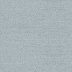 Neenah Paper® Classic Linen GRAYSTONE 80 lb. Linen Cover 8.5x11 in. 250 Sheets per Ream