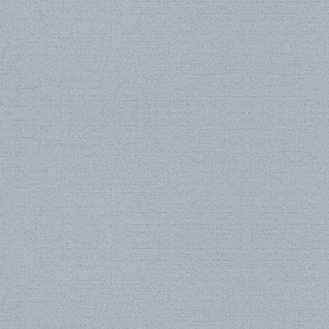 Neenah Paper® Classic Linen GRAYSTONE 80 lb. Linen Cover 8.5x11 in. 250 Sheets per Ream