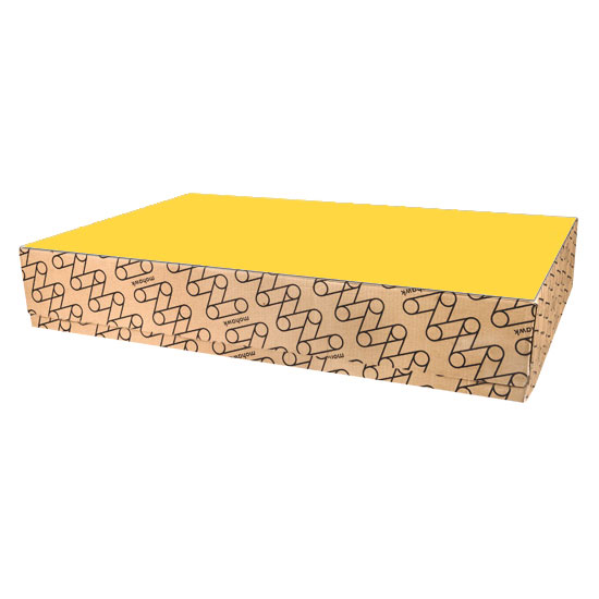 Mohawk® Carnival® Yellow Vellum 70 lb. Text Recycled Paper 25x38 in. 1000 Sheets