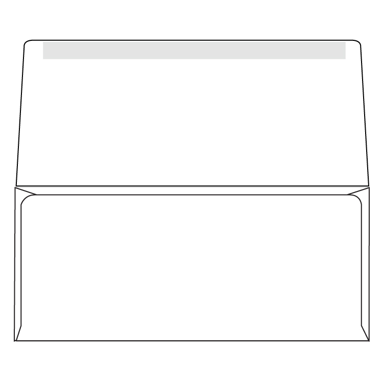 Western Sulphite® Collection Remittance Envelope 24 lb. White Wove No. 9 Remittance Envelopes 500 per Box