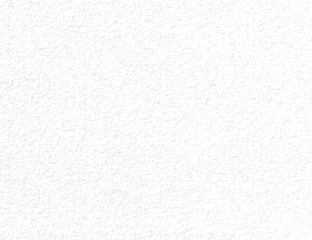 Neenah Paper® Royal Cotton Bright White Light Cockle 24 lb. Writing 8.5x11 in. 500 Sheets