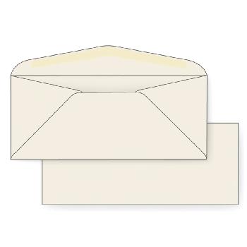 Brown Kraft Envelope - Domtar