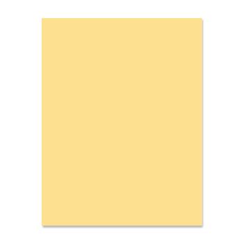 American Eagle Paper Mills® Eagle Premium 30 Recycled Buff 20 lb. Colored Office Paper 8.5x11 in. 500 Sheets per Ream