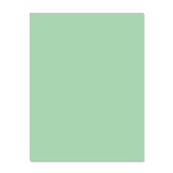 American Eagle Paper Mills® Eagle Premium 30 Recycled Green 20 lb. Color Copy Paper 8.5x11 in. 500 Sheets per Ream