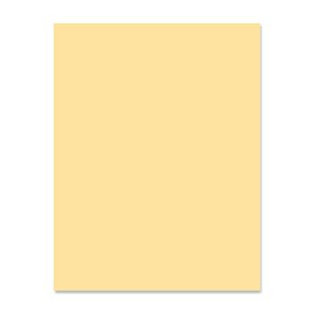 American Eagle Paper Mills® Eagle Premium 30 Recycled Ivory 20 lb. Color Copy Paper 8.5x11 in. 500 Sheets per Ream