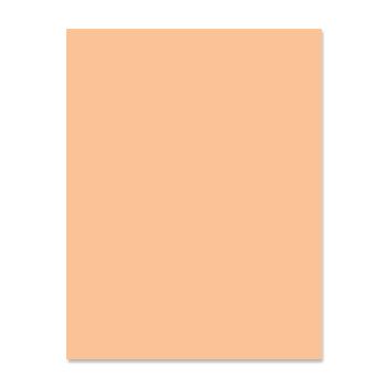 American Eagle Paper Mills® Eagle Premium 30 Recycled Peach 20 lb. Colored Paper 8.5x11 in. 500 Sheets per Ream