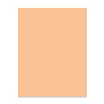 American Eagle Paper Mills® Eagle Premium 30 Recycled Peach 20 lb. Colored Paper 8.5x11 in. 500 Sheets per Ream