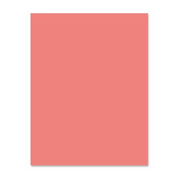 American Eagle Paper Mills® Eagle Premium 30 Recycled Salmon 20 lb. Colored Paper 8.5x11 in. 500 Sheets per Ream